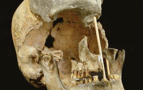 Lebka ženy nalezená v Českém krasu je stará přes 45 tisíc let.