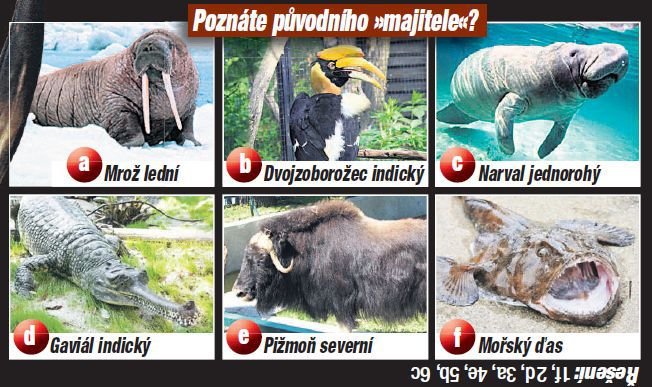 Poznáte původního »majitele«?