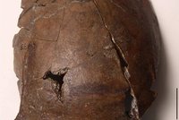 Záhada melanéské lebky staré 6000 let: Patří nejstarší známé oběti tsunami, míní vědci