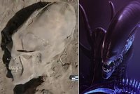 V Mexiku našli 1000 let starou lebku mimozemšťana: Je protáhlá jako u vetřelce