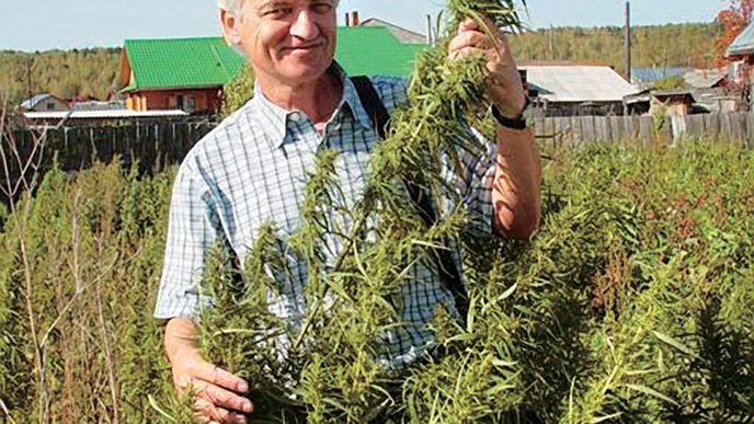 Dr. Lumír Ondřej Hanuš se vědeckému výzkumu konopí věnuje už desítky let