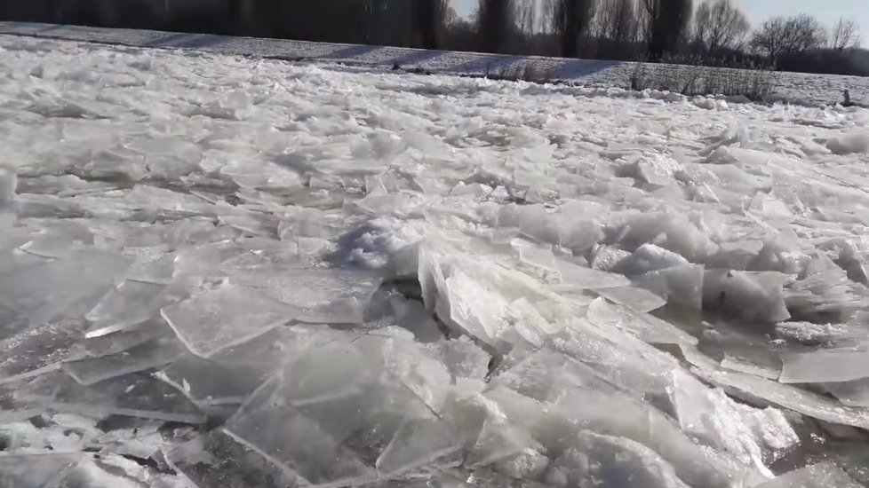 Ledové kry valící se řekou Moravou.