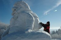 Umělci tvořili království ledových soch