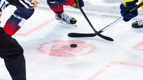 Hokejisty čekají předvánoční Švýcarské hokejové hry. Potvrdí Češi skvělý start do sezony?