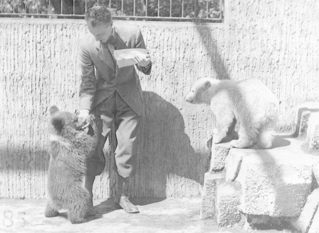 Sněhulka s ředitelem v medvědím výběhu, kde jim dělal společnost hnědý medvěd.