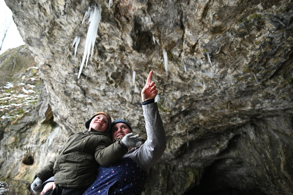 V některých jeskyních Moravského krasu se po dvou teplých zimách znovu vytvořily ledové krápníky, takzvané ledouchy.
