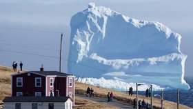 K pobřeží Newfoundlandu připlul obří ledovec.