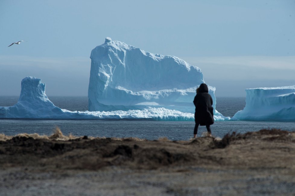 K pobřeží Newfoundlandu připlul obří ledovec.