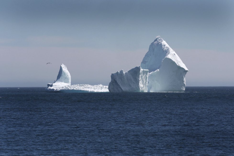 K pobřeží Newfoundlandu připlul obří ledovec.