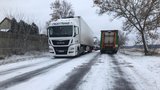 Sníh, popadané stromy a námraza: Česko dál trápí rozmary počasí