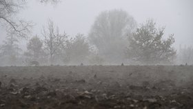 Liberecko ochromila ledovka. Chodci s sebou „sekli“, řidiči bourají