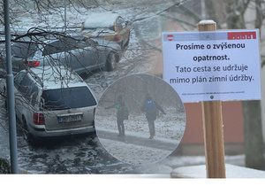 »Prosíme o zvýšenou opatrnost. Tato cesta se udržuje mimo plán zimní údržby.« Tak vyřešili ledovku na radnici Brno-sever. Místo soli a škváry pod boty úřad jednoduše zatloukl varovné cedulky.