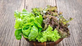 Výběr typů a odrůd salátu pro pěstování přes zimu je bohatý.