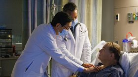 Rekordních 271 dní vydržela prasečí ledvina v lidském těle! Revoluce v medicíně?