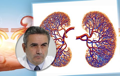 Šest největších mýtů o ledvinách! A co říkají odborníci k prevenci?