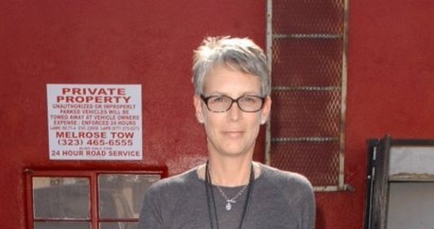 Jamie Lee Curtis, kterou čeští diváci znají především z bláznivé komedie Pravdivé lži, se ve čtvrtek ráno v Los Angeles stala obětí dopravní nehody.