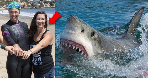 Velký bílý žralok se zakousl do mámy tří dětí a stáhl ji pod hladinu: Ubránila se holýma rukama
