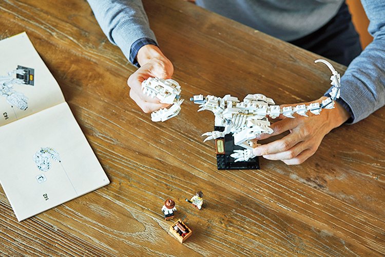 Dinosauří LEGO® stavebnice? Tu jsme si v redakci ábíčka přece nemohli nechat ujít!