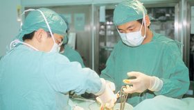 Číňanka umírala kvůli ptačí chřipce: Ve středu se jí narodila holčička!