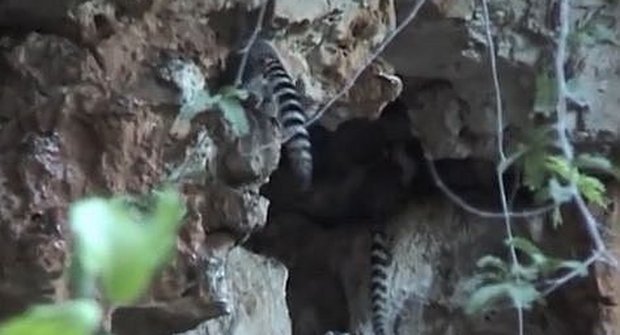 Za lemury na Madagaskar: Nocuje se v jeskyni