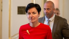 Lenka Bradáčová v Senátu na jednání o bitcoinové kauze.