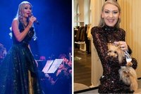 Zpěvačka Lenka Graf má strach o miláčka: Zhoubný nádor!
