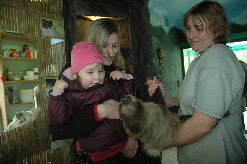 Bohouš je hvězda olomoucké zoo. jeho hlavním úkolem je bavit děti.