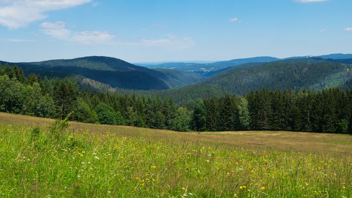 Šumava