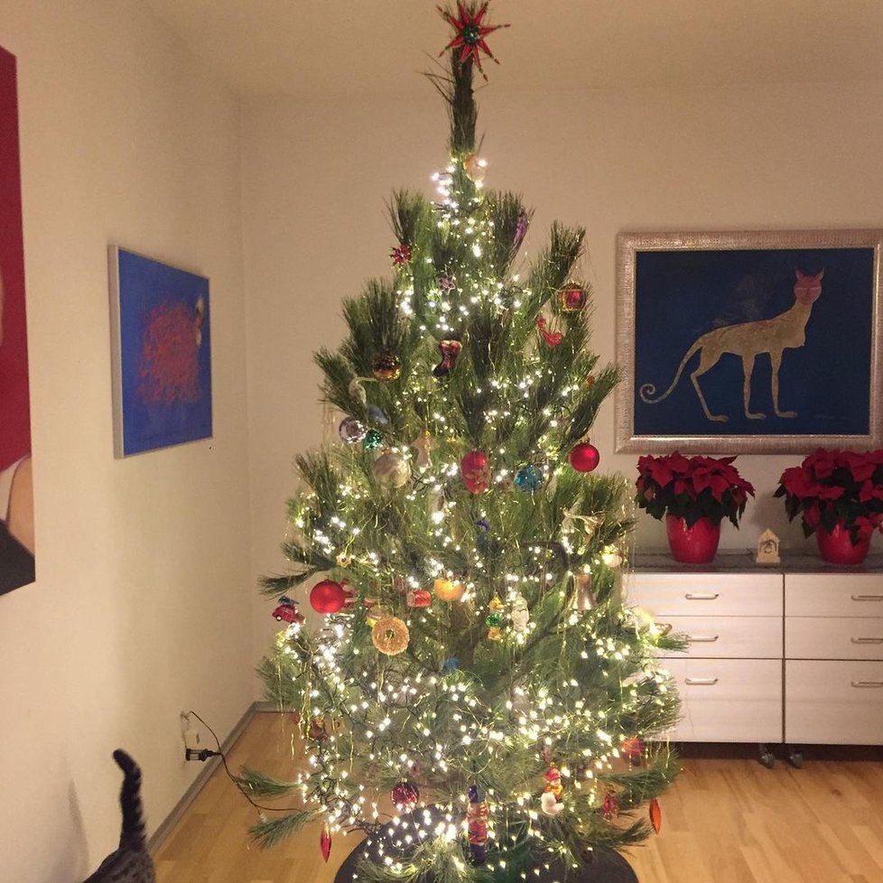 Vánoční stromek Leony Machálkové