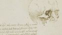 Kresby (nacházejí se v anglickém Windsoru), které při zkoumání lebek vytvořil Leonardo da Vinci