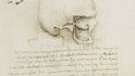 Kresby (nacházejí se v anglickém Windsoru), které při zkoumání lebek vytvořil Leonardo da Vinci