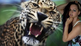 Focení se změnilo v naprostý horror: Na modelku (36) zaútočil leopard