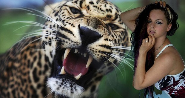 Modelka (36) zažila horor místo focení: Bojovnici za práva zvířat napadl leopard!