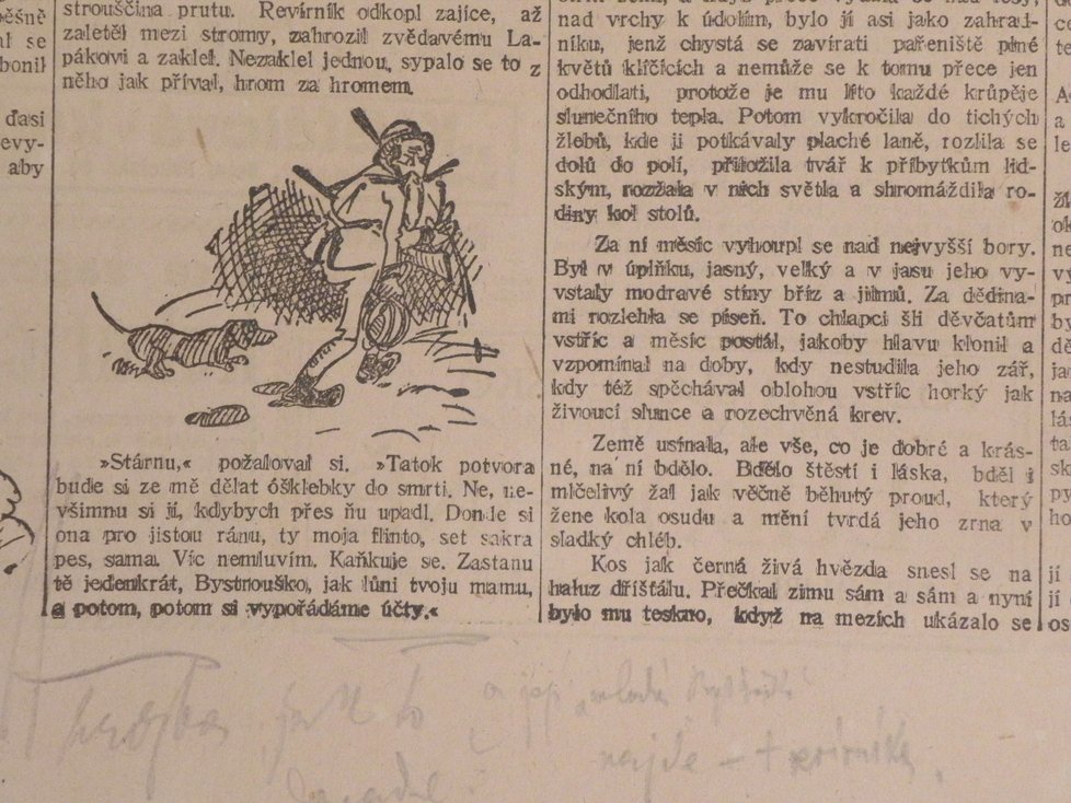 Janáčkem glosované výstřižky Těsnohlídkovy hry Liška Bystrouška, které vycházely v roce 1920 v Lidových novinách.