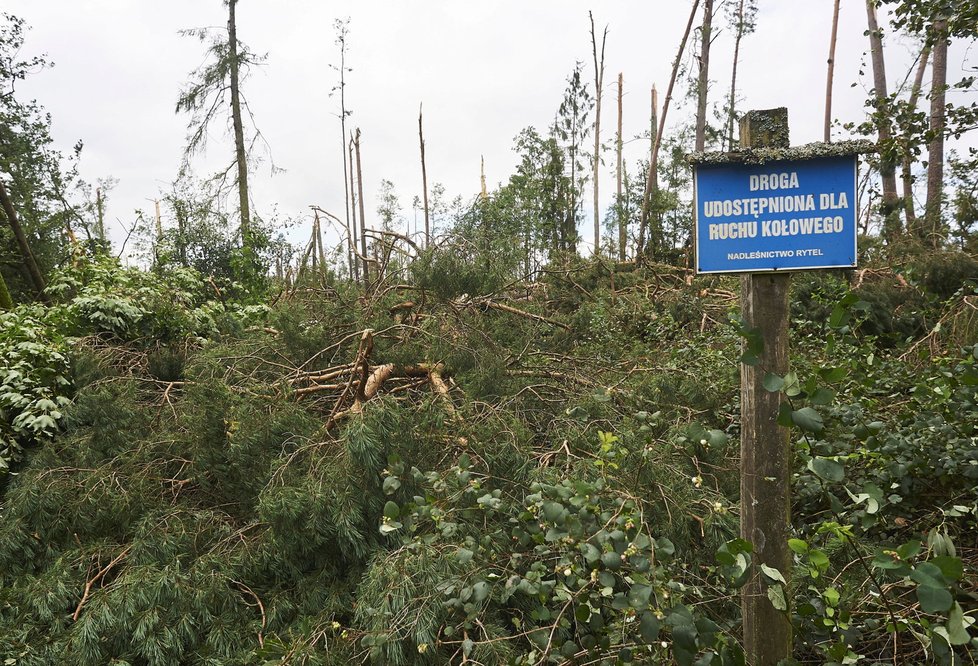 Bouře v Polsku porazila obří strom na tábor, dvě skautky zemřely