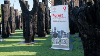 Pravěké duby z Česka ovládly Expo 2025. Vidělo je rekordních 25 milionů lidí Pravěké duby z Česka ovládly Expo 2025. Vidělo je rekordních 25 milionů lidí