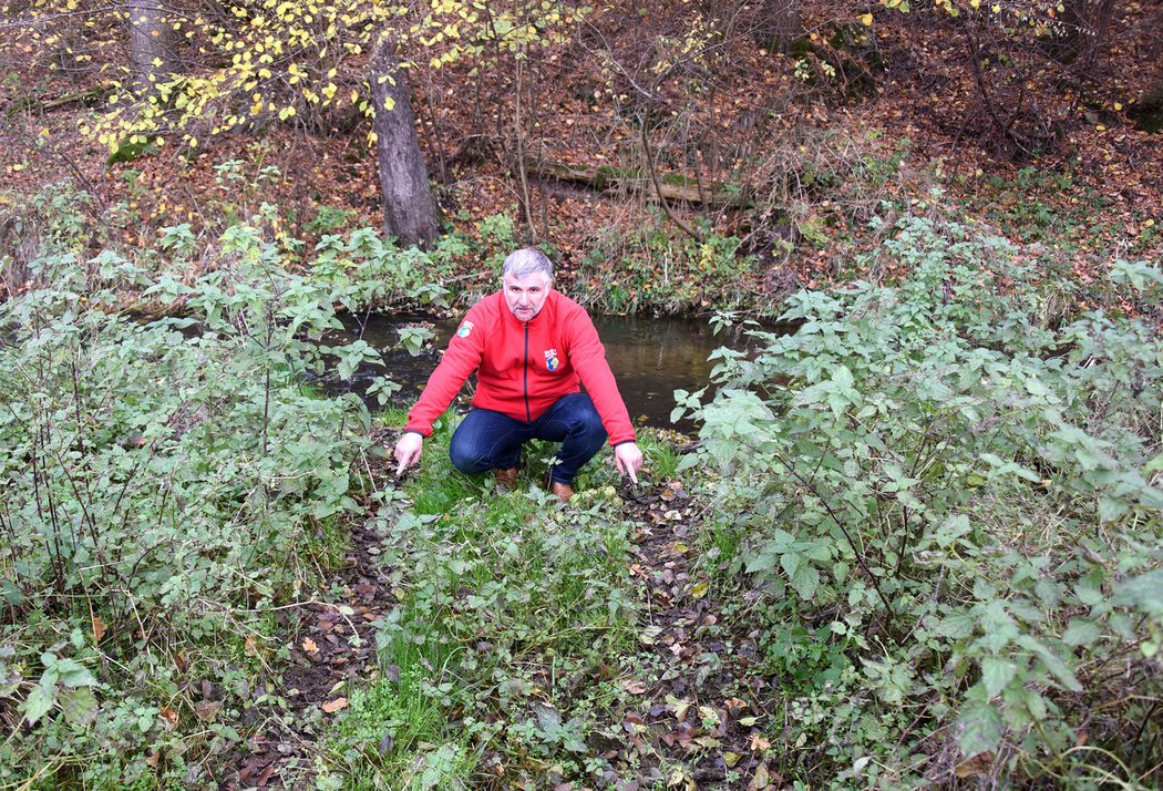 Stopy čtyřkolky u potoka ukazují, že brodění a jízda korytem potoka je stále lákadlem, přestože se jedná o porušení zákona trestané mnohatisícovými pokutami