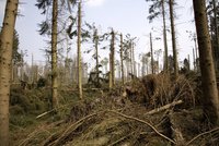 Páteční bouře Doris po sobě zanechala spoušť. Její řádění stálo 16 milionů