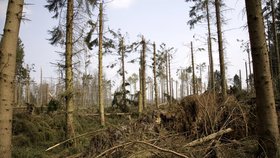 Páteční bouře Doris po sobě zanechala spoušť za 16 milionů korun.