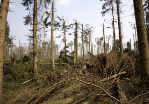 Páteční bouře Doris po sobě zanechala spoušť za 16 milionů korun.