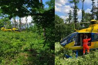 Dramatické přistání v lese: Záchranáři letěli na pomoc muži, na kterého spadl strom