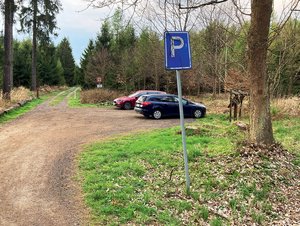 Jedete na houby autem? Za parkování v lese hrozí pokuta až 100 tisíc!