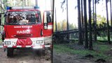 Děsivá smrt na Vsetínsku: Muže (†45) rozmáčkl strom, zůstal pod kořeny!