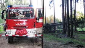 Na Vsetínsku došlo k tragédii, dělníka v lese zabil strom 