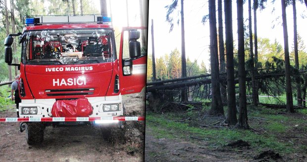 Děsivá smrt na Vsetínsku: Muže (†45) rozmáčkl strom, zůstal pod kořeny!