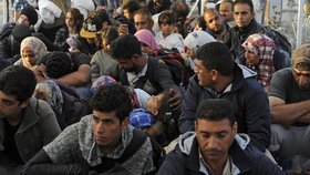 Uprchlická krize trápí nejen Evropu, řešení je ale v nedohlednu