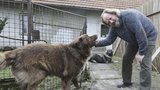 Lešek Semelka po mozkové příhodě na polní cestě: Život mi zachránil pes!