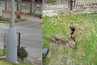 Lesná řeší záhadu: Zmizel sloup! Zloději, vrať nám naši památku