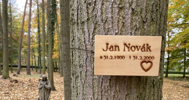 V Plzni otevřeli Lesní hřbitov, pohřbívat se tu bude ke kořenům stromů.