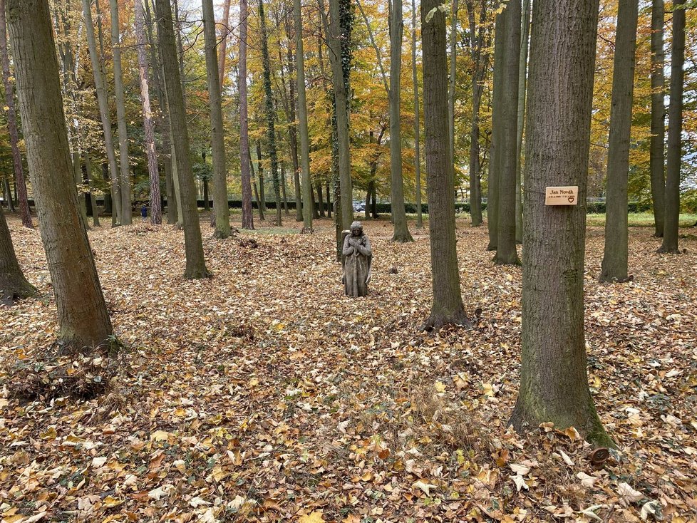 V Plzni otevřeli Lesní hřbitov, pohřbívat se tu bude ke kořenům stromů.